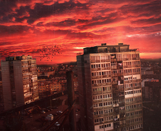 稳定供给的云拨手机号app